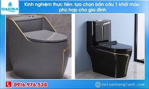 Kinh nghiệm thực tiễn: lựa chọn bồn cầu 1 khối màu phù hợp cho gia đình